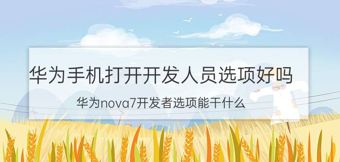 华为手机打开开发人员选项好吗 华为nova7开发者选项能干什么？